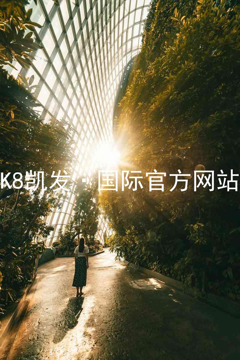K8凯发·国际官方网站